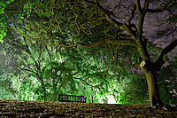 Landscape Photogalerie