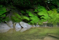 natur-09-16-4.jpg